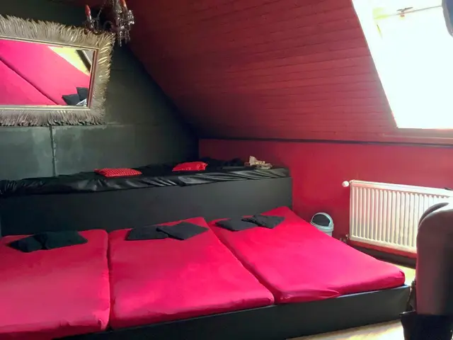 Swingerclub Number One, swingers club in Frankfurt